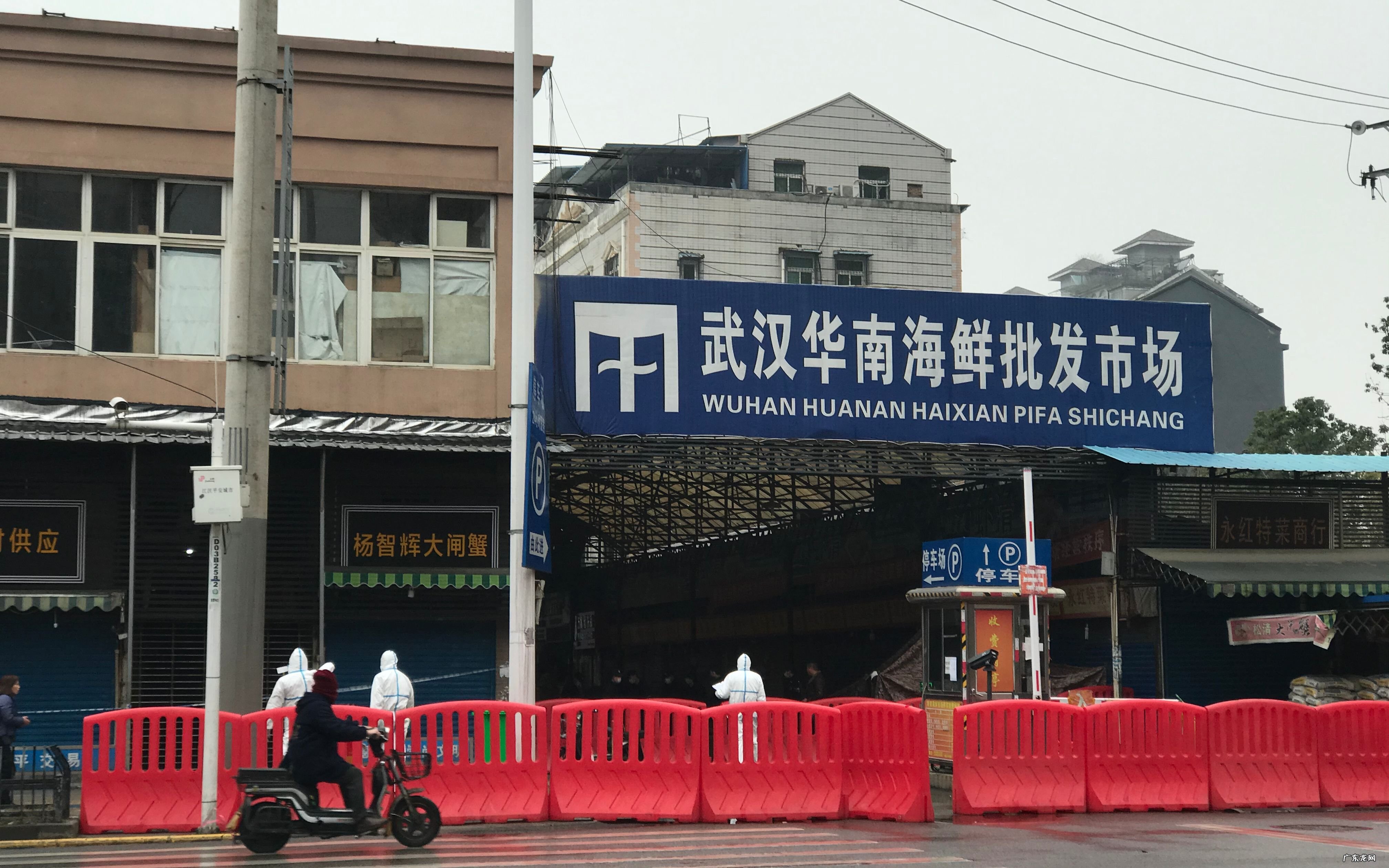 华南海鲜市场不是 华南海鲜市场不是疫情的发源地