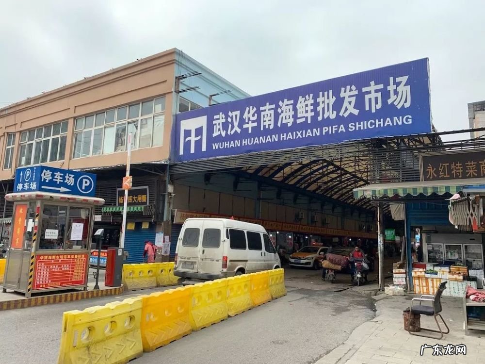 华南海鲜市场不是 华南海鲜市场不是疫情的发源地
