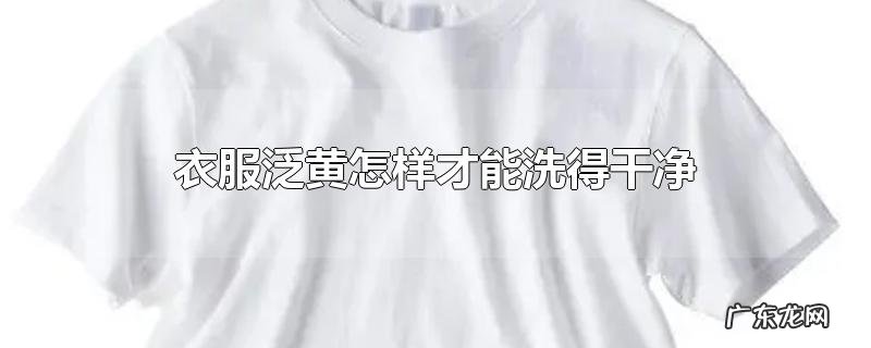 衣服泛黄怎样才能洗得干净