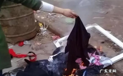 风水杯子摔碎了怎么办
