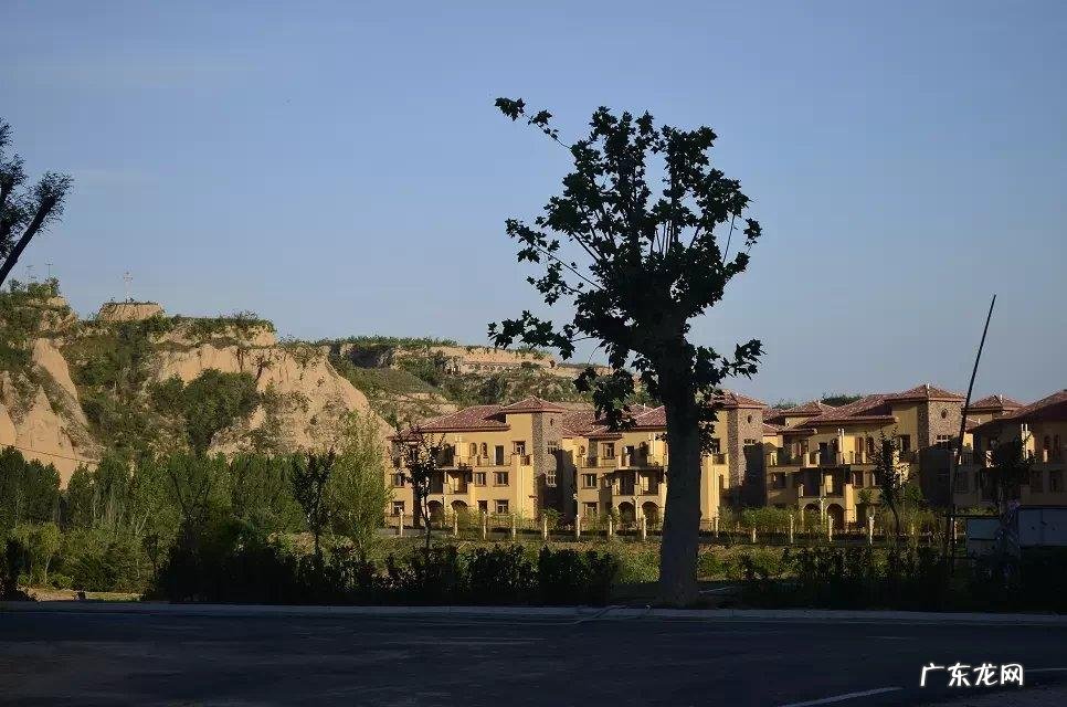 黑天鹅 风水 德国天鹅城堡风水如何