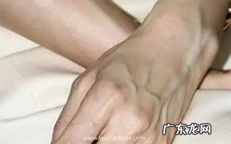 为何手上青筋很 为什么手上青筋很明显