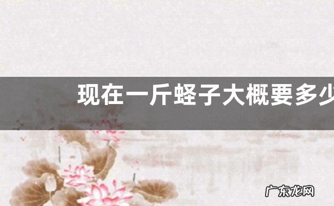 现在一斤蛏子大概要多少钱？附养殖技术