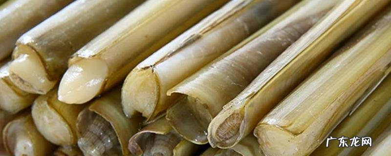 现在一斤蛏子大概要多少钱？附养殖技术