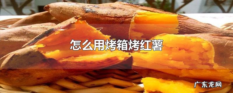 怎么用烤箱烤红薯