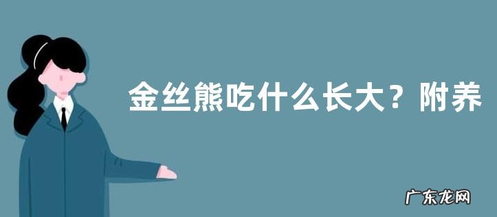 金丝熊吃什么长大?附养殖技术