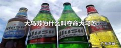 大乌苏为什么叫夺命大乌苏