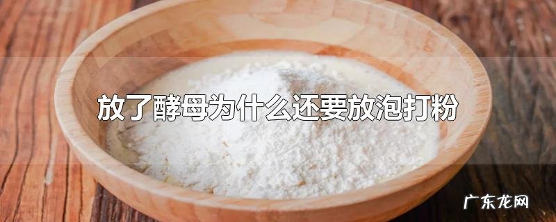 放了酵母为什么还要放泡打粉