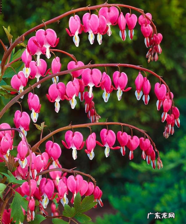 喜金土适合什么方位 风水喜金是什么意思