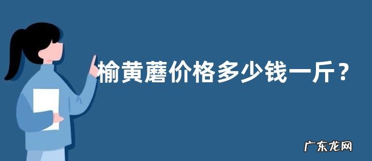 榆黄蘑价格多少钱一斤?怎样配制培养料?什么时候栽培?