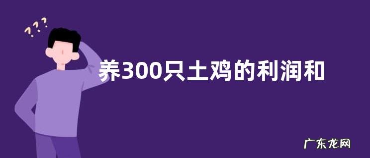 养300只土鸡的利润和成本是多少?附养殖技术