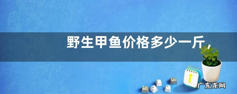 野生甲鱼价格多少一斤，和养殖甲鱼的区别是什么