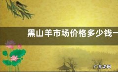 黑山羊市场价格多少钱一斤？养殖注意事项是怎样的？