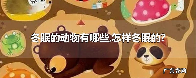 冬眠的动物有哪些,怎样冬眠的?