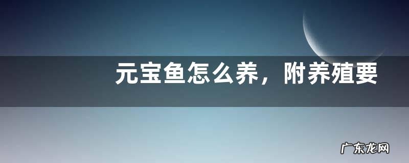 元宝鱼怎么养,附养殖要点