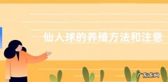 仙人球的养殖方法和注意事项，强光下需要适当遮荫