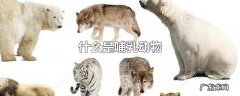 什么是哺乳动物