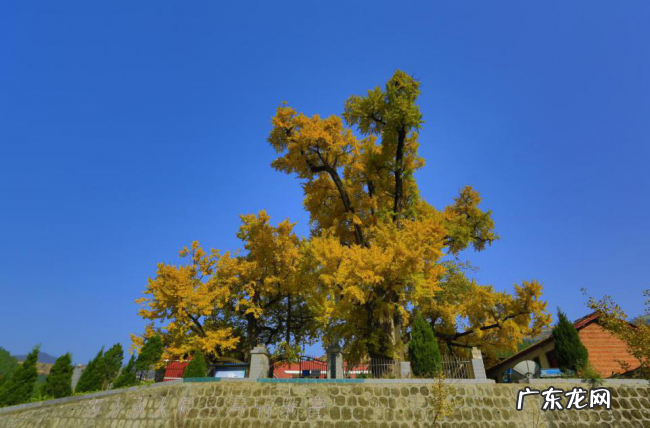 铜川市东风水泥厂贺万民