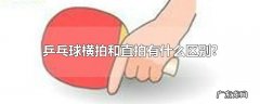 乒乓球横拍和直拍有什么区别?