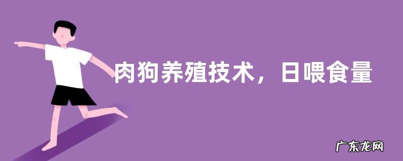 肉狗养殖技术,日喂食量为体重的2.5%