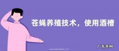 苍蝇养殖技术，使用酒槽、豆渣或麦皮育蛆