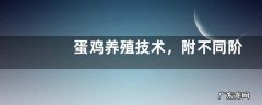 蛋鸡养殖技术，附不同阶段的管理