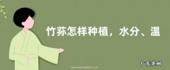 竹荪怎样种植，水分、温度管理是关键