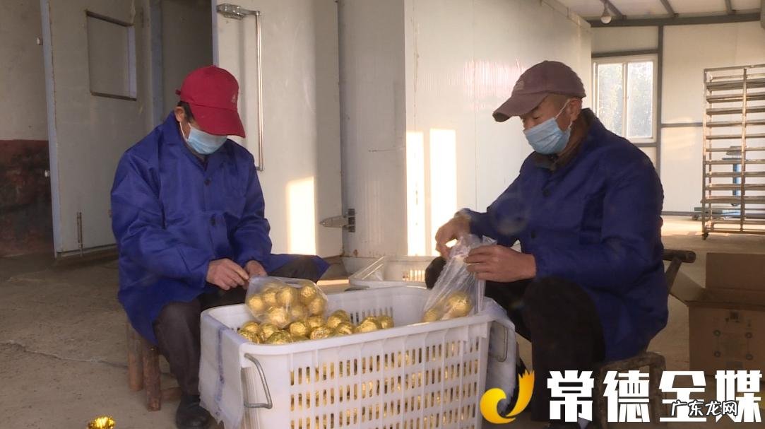 枳壳是啥树的果实 枳壳树的果子 图片