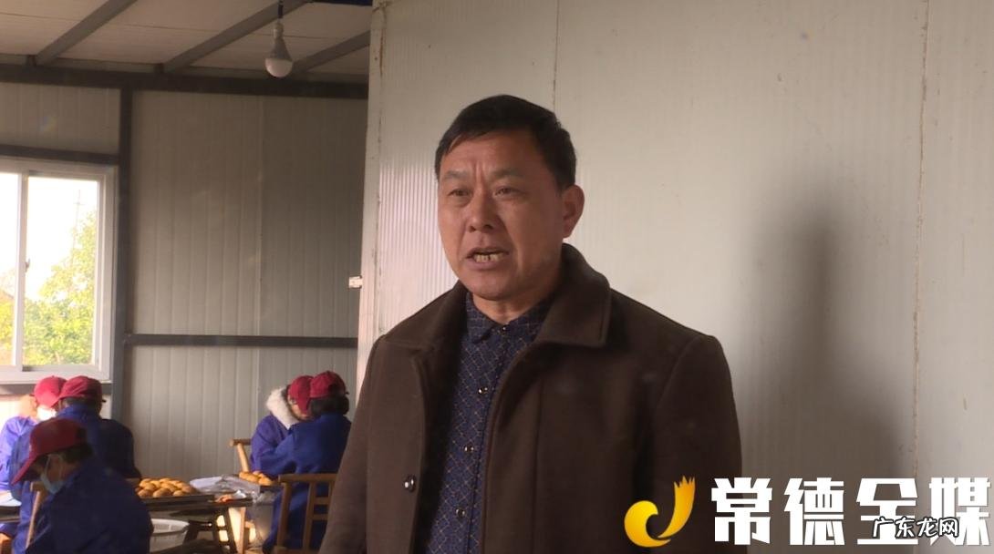 枳壳是啥树的果实 枳壳树的果子 图片