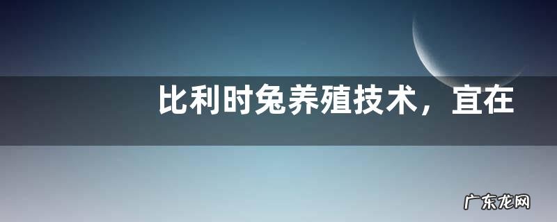 比利时兔养殖技术,宜在偏僻处养殖