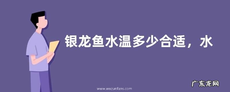 银龙鱼水温多少合适，水温对它有什么影响