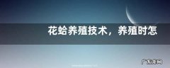 花蛤养殖技术，养殖时怎么播苗