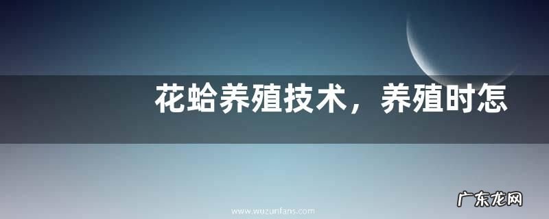 花蛤养殖技术,养殖时怎么播苗