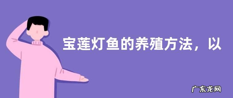 宝莲灯鱼的养殖方法,以及养殖注意事项