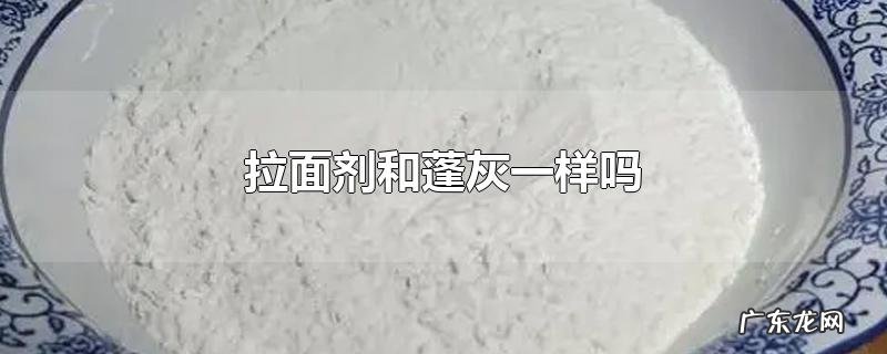 拉面剂和蓬灰一样吗