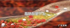 脂肪酸是什么