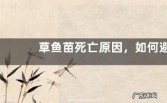 草鱼苗死亡原因，如何避免