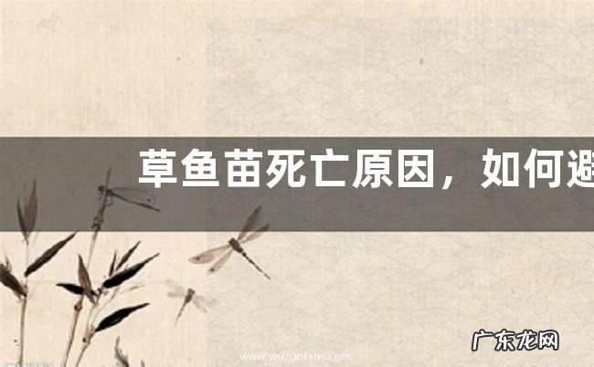 草鱼苗死亡原因,如何避免
