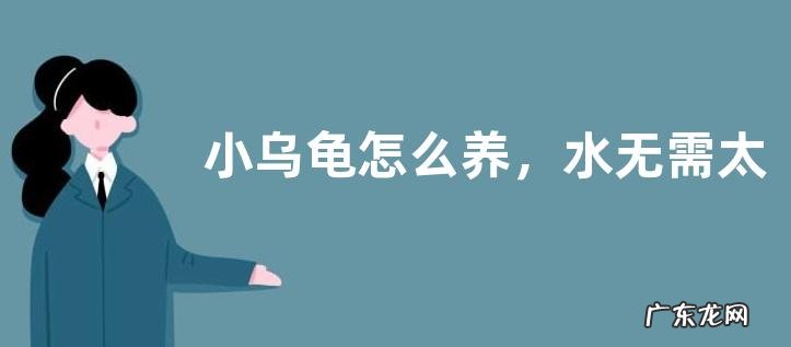 小乌龟怎么养,水无需太深