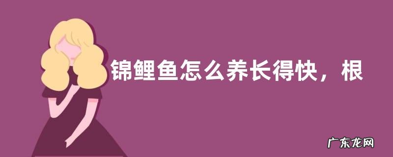 锦鲤鱼怎么养长得快,根据据不同季节的温度调整投饵量