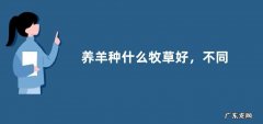 养羊种什么牧草好，不同的牧草各有优势