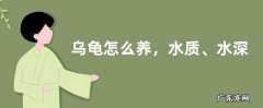 乌龟怎么养，水质、水深、温度都需要掌握好