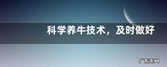 科学养牛技术，及时做好驱虫和防病工作