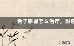 兔子感冒怎么治疗，附感冒原因