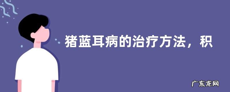猪蓝耳病的治疗方法，积极预防及时治疗