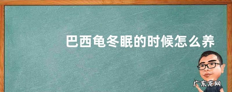 巴西龟冬眠的时候怎么养,不同的冬眠方法需要注意的事项不同