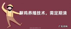 野鸡养殖技术，需定期清理鸡舍