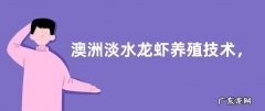 澳洲淡水龙虾养殖技术，需时刻保证水中的溶氧量
