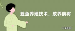 鳇鱼养殖技术，放养前将池塘全面消毒