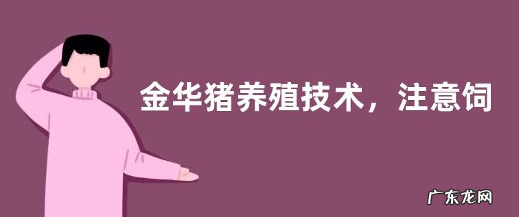 金华猪养殖技术，注意饲料的干湿比例